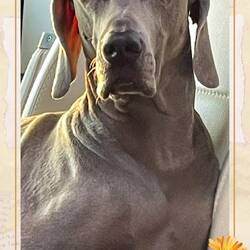 Gar nicht müde!?😪