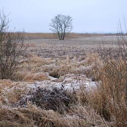 Landschaftsschutzgebiet