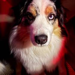 I tried to catch a🐝. It didn't go well. Bees 🐝 🐝 hurt. 😢