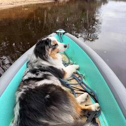 He's the best kayak buddy