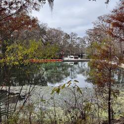 There's MB. C-Otter is rafted to us