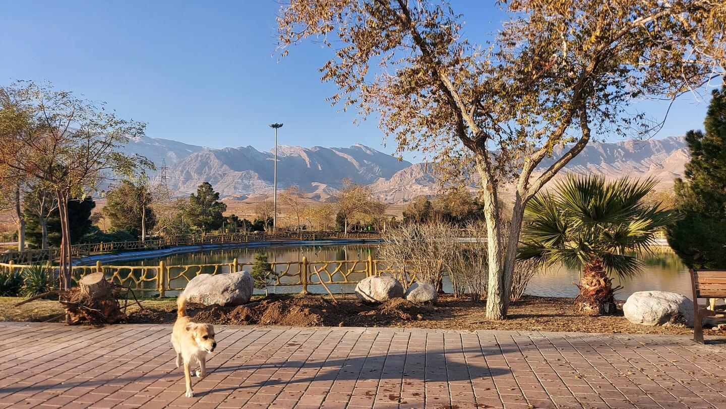 Der Park in Kashan
