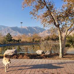 Der Park in Kashan