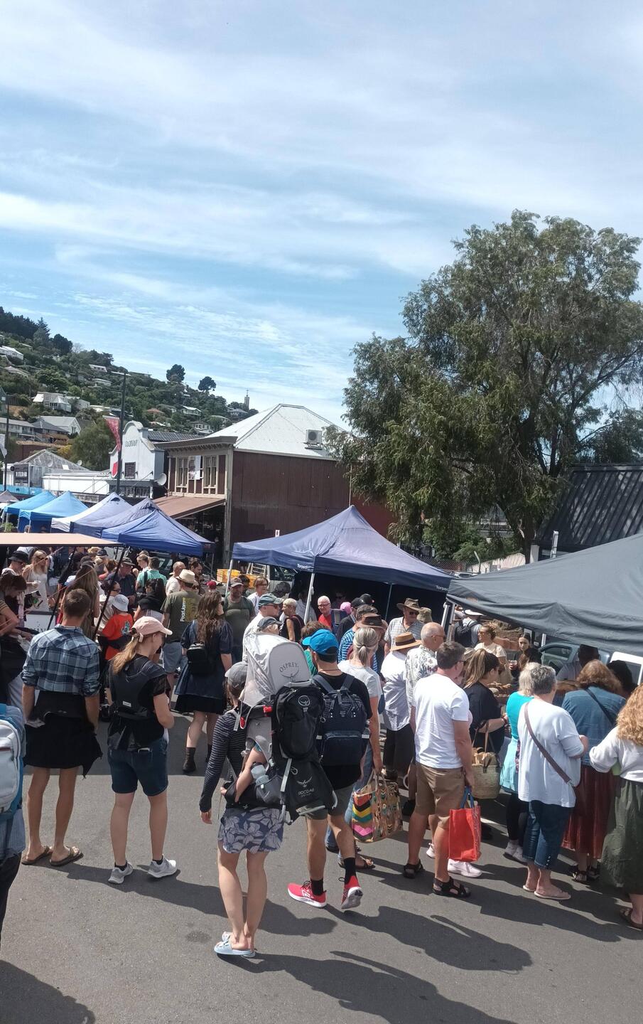 Bauernmarkt in Lyttlelton