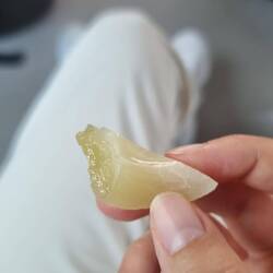 Muskatfrucht