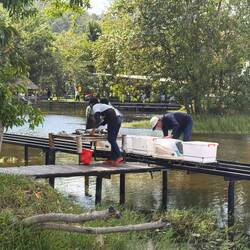 Auf diesen Gefährten kam das Essen angefahren