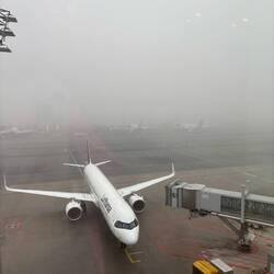 Zurück am Boden ist es wieder grau, ungemütlich und kalt.