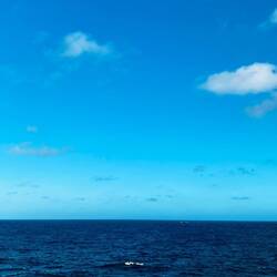 coogee south rocky point lookout
