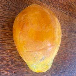 ...mit meiner ersten selbstgepflückten Papaya frisch vom Baum