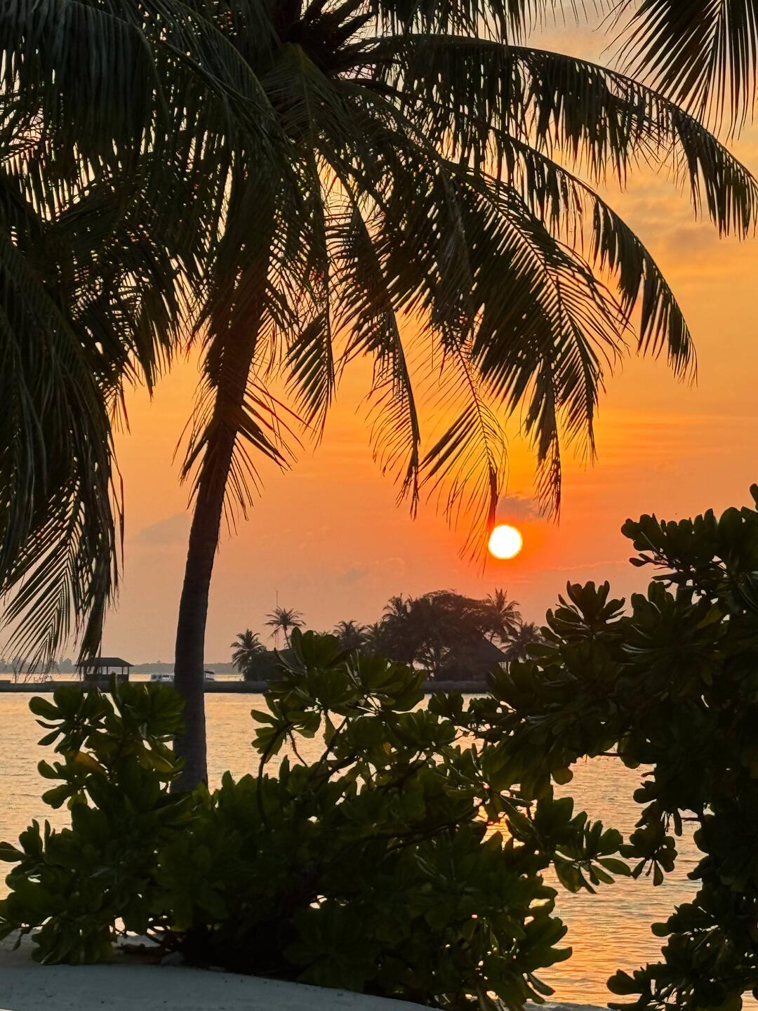 Sonnenaufgang heute früh