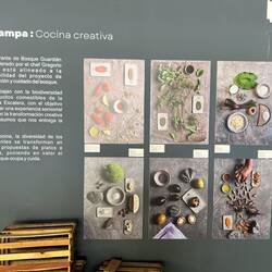 Die verschiedenen Delikatessen