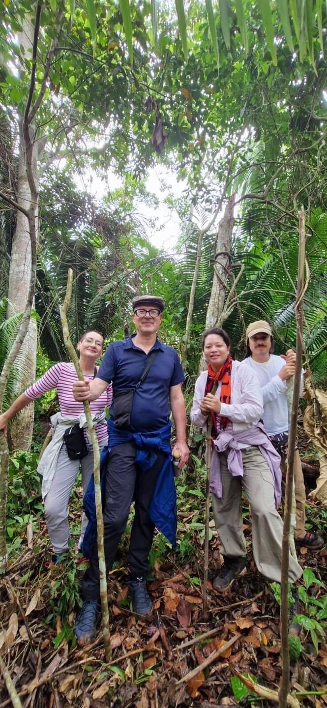 Exkursion in den Dschungel