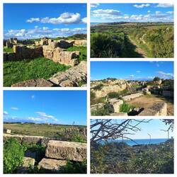 Blick auf das weitläufige Gelände Selinunt