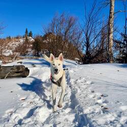 Von daher kann nur ein Motto gelten: Bahn frei..