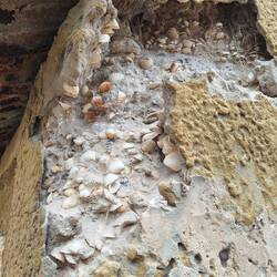 Bau der Häuser mit Muscheln