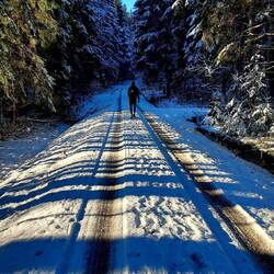 Man möchte irgendwie, dass diese Wege nie zu Ende gehen