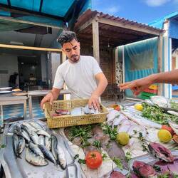 3 Doraden und 2 Stücke Thunfisch frisch auf den Tisch