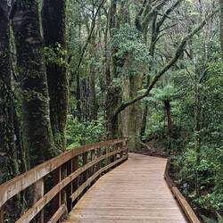 Le chemin pour prendre le bateau