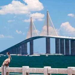 Sunshine Skywalk Bridge