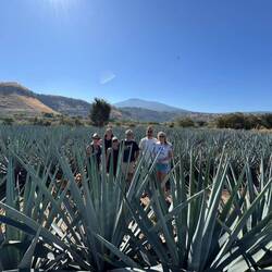 Gruppenführung über die Farm
