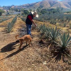 José informiert über die Zusammensetzung