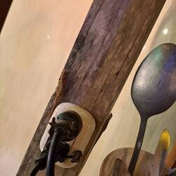 Wenn in der Outdoor Küche die Eidechsen krabbeln