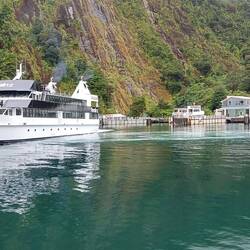 Au revoir Milford sounds