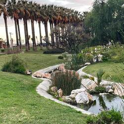 Im Sommer tummeln sich hier Wasserschildkröten