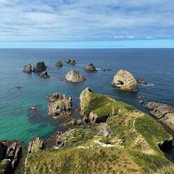 Stopp am Nugget Point