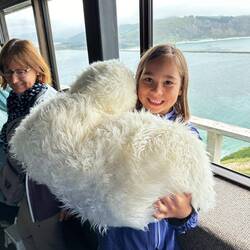 Life size albatross a few months old