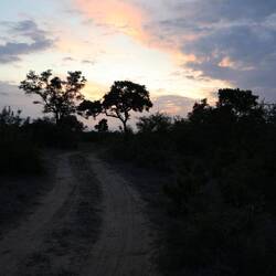 This evening's sunset.