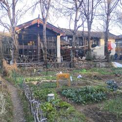 The bivou vegetable farm with the hotel beyond