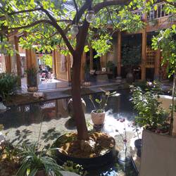 Views of a lovely Lijiang courtyard shop and dwelling apartments above.