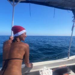 Whale Watching am 25.12.24 🎅🏻