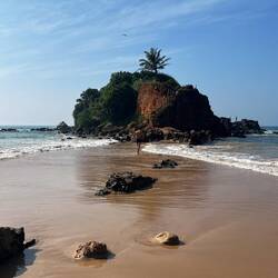 Parrot Rock