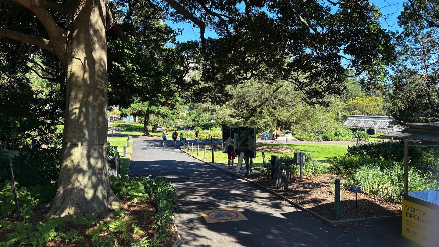 Zu Fuss von Potts Point durch den Royal Botanic Garden