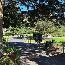 Zu Fuss von Potts Point durch den Royal Botanic Garden
