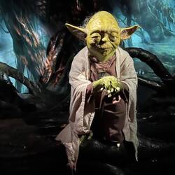 Qualche perla di saggezza