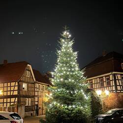 Christmas tree in Rodenbach
