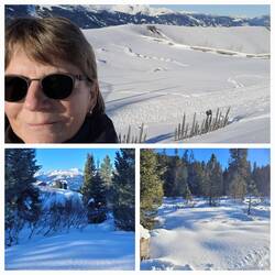 Spaziergang durch den verschneiten Wald