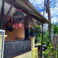 Vögel sind Statussymbole