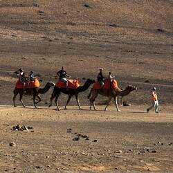 Laurence von Arabien 🧐