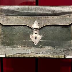 Napoleon I's case