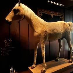 His horse Vizier who followed him to 1st exile & was stuffed on death