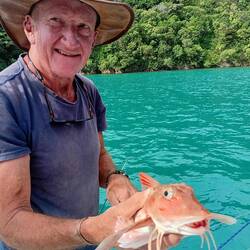Simon's Red Cod