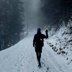 Eintauchen in den Nebel