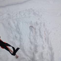 doch ein bisschen Powder