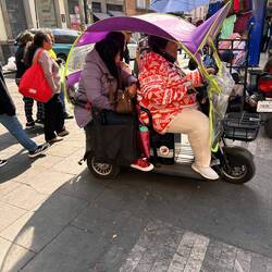 Modern - Elektromobil, ziemlich belastet, im Weihnachtsangebot kitschigfarbige Norweger-Pullover