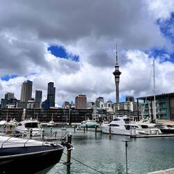 Viaduct Harbour