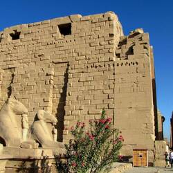 These sphinxes used to line the entire length of the road between Karnak and Luxor